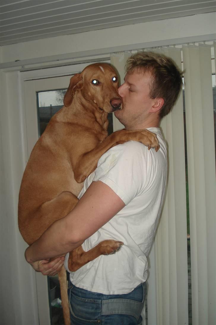 Blanding af racer Xaro - Uha... Hold nu fast, far billede 10