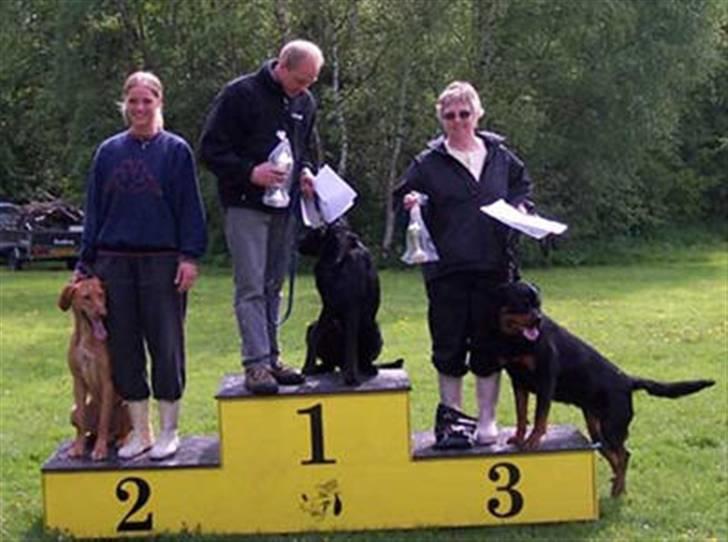 Blanding af racer Xaro - Nr. 2 til klubmesterskab billede 14