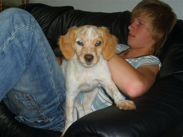 Breton Mille - tag et billed billede 6