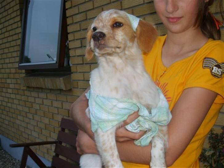 Breton Mille - mit nye tøj som Martha og Marianne har lavet til mig billede 8