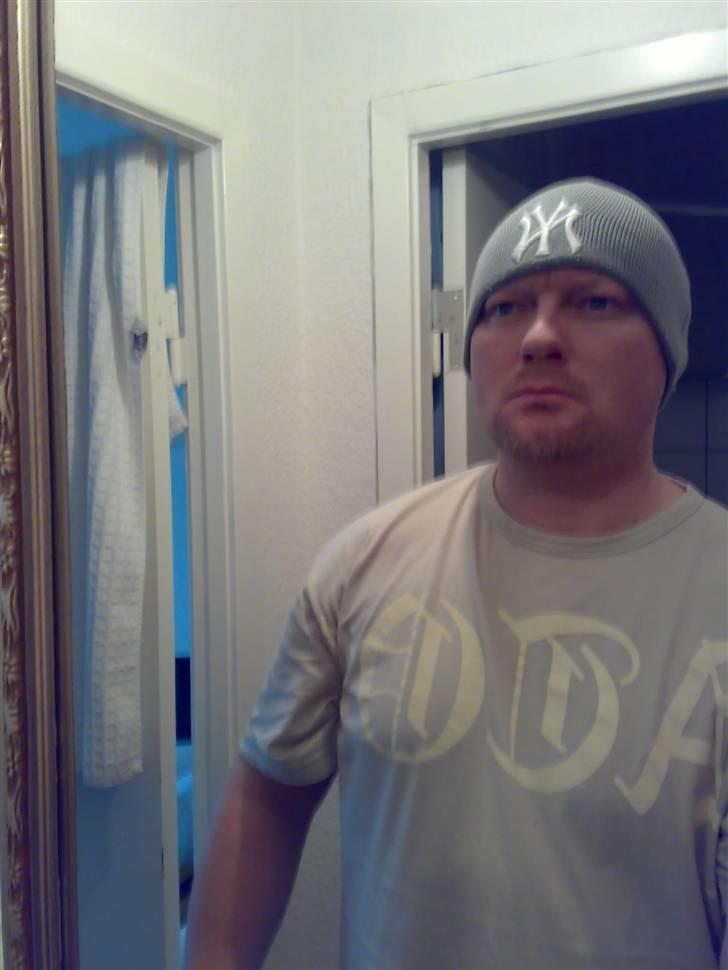 Amerikansk bulldog Aisha billede 9