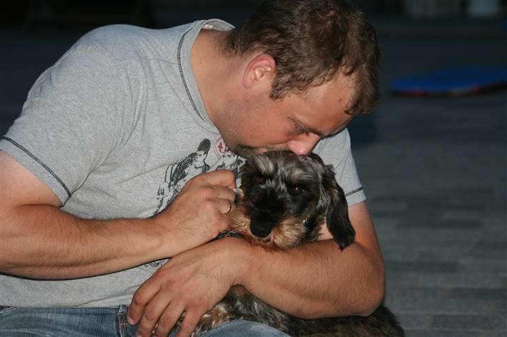 Gravhund Pedro - Søren (daddy) og Pedro nusser billede 9