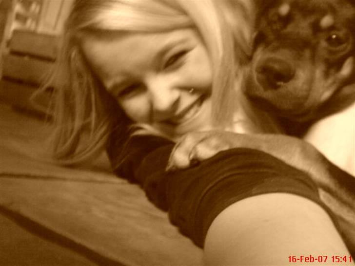 Blanding af racer Tica billede 15