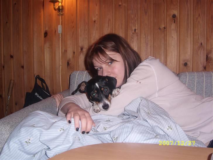 Dansk svensk gaardhund Ronja billede 5