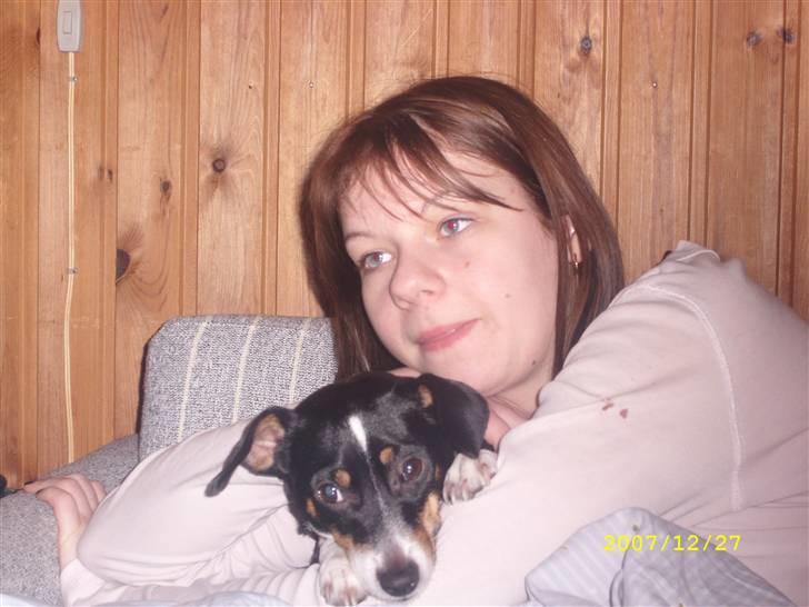 Dansk svensk gaardhund Ronja billede 6