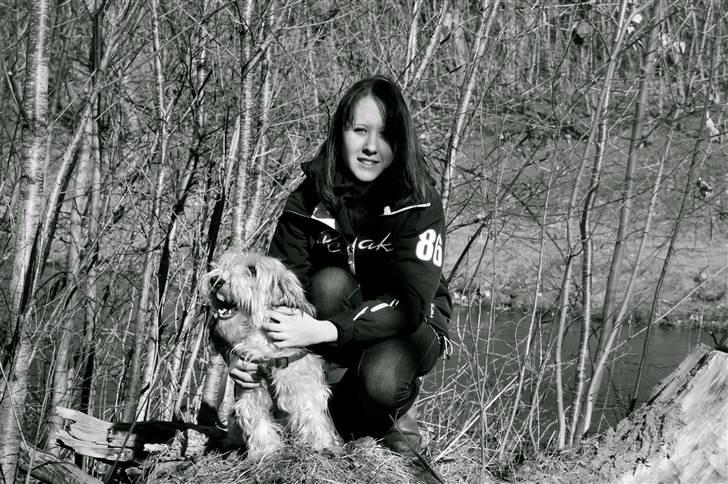 Petit basset griffon wendéen Uhlanias Carla - Min lille spring hund<3 (4år) billede 9