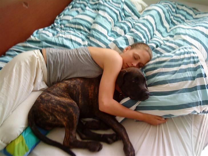 Blanding af racer Loke - hygge med mor billede 5