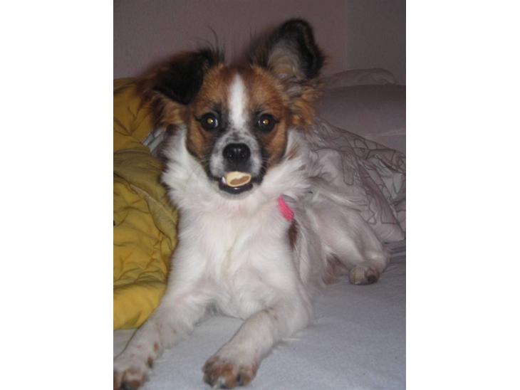 {{currentPhoto.altText}} billede {{currentPhoto.number}}