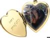 Rottweiler Zar<3 "kræft"(R.I.P)<'3 [ Himmelhund]