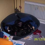 Blanding af racer tasja