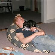 Amerikansk staffordshire terrier Freja  R.I.P