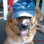 Blanding af racer rolf