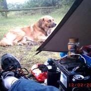 Blanding af racer rolf