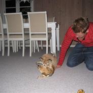 Blanding af racer Molli