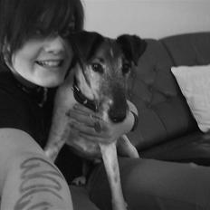 Glathåret foxterrier Ricko