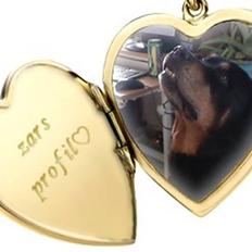Rottweiler Zar<3 "kræft"(R.I.P)<'3