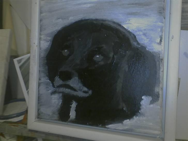 Blanding af racer Rosa sov sødt billede 17