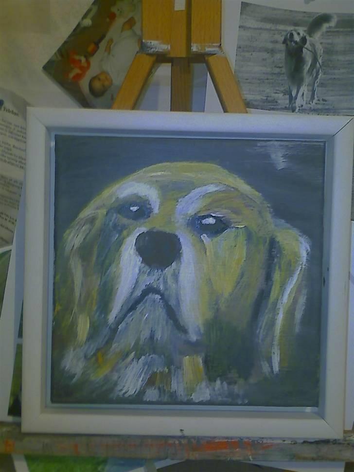 Blanding af racer charlie stille sovet ind billede 20