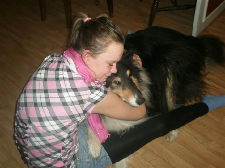Collie langhåret Lassie <3 - Venne kram <3 billede 6