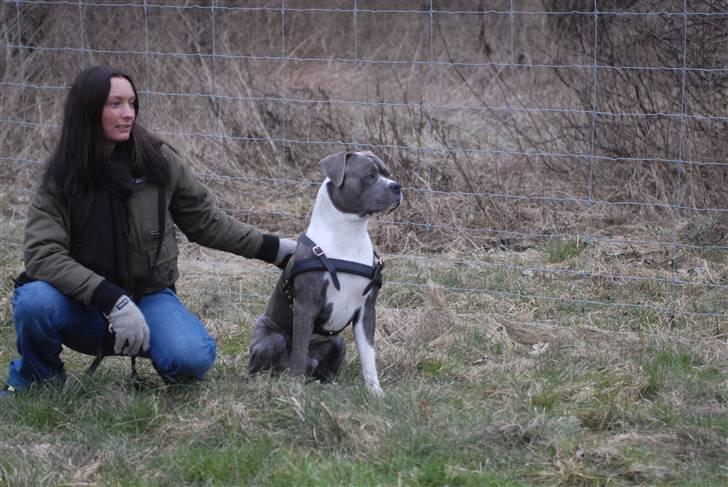 Blanding af racer Tass *RIP* billede 6