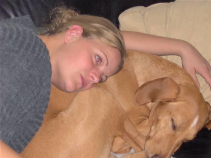 Blanding af racer Xaro billede 19