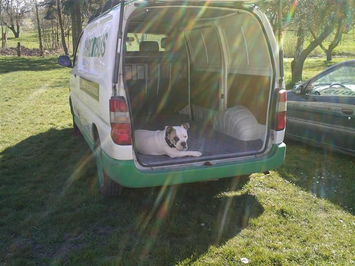 Blanding af racer Jackson - Passer på bedstefars bil. billede 16