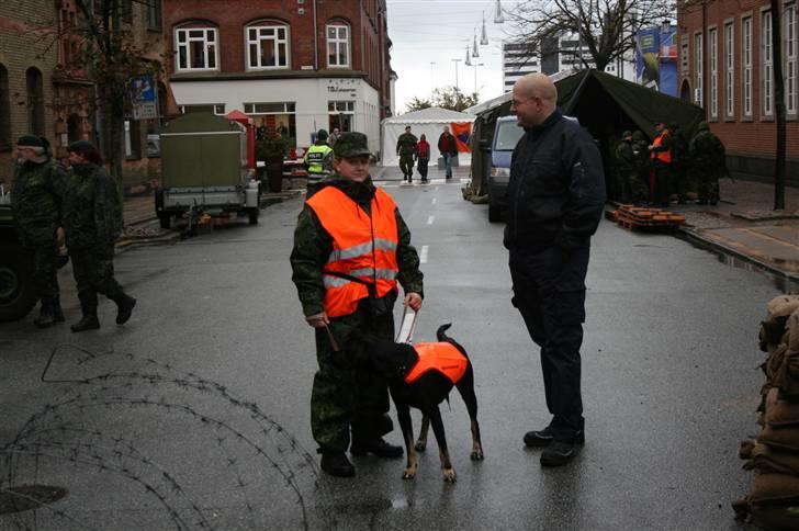 Blanding af racer janus - her er vi til et arrangement med hjemmeværnet billede 7