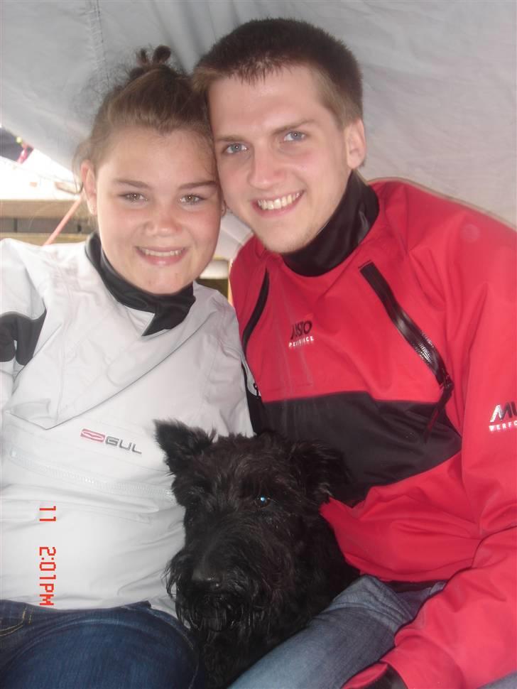 Skotsk terrier Perle (Marielyst's britt) R.I.P - ihh, hvor er vi pæne på billeder billede 3