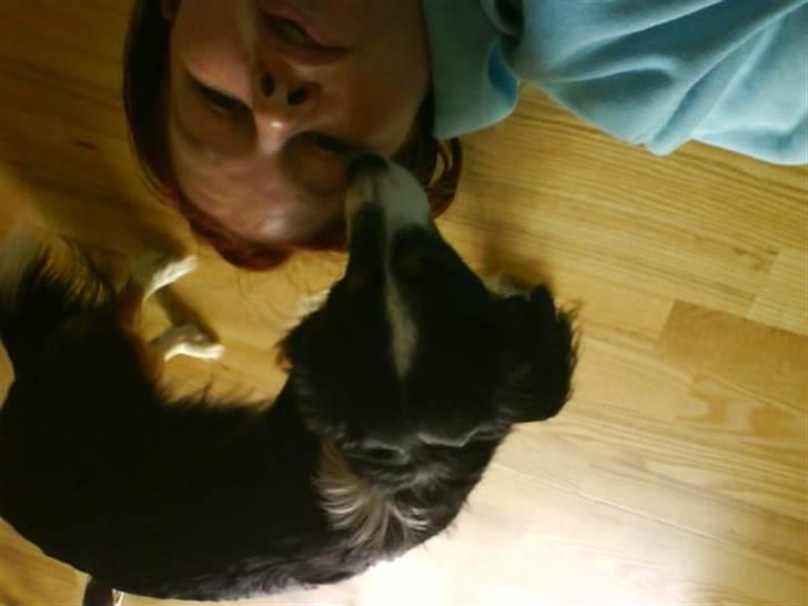 Blanding af racer Ludo billede 5