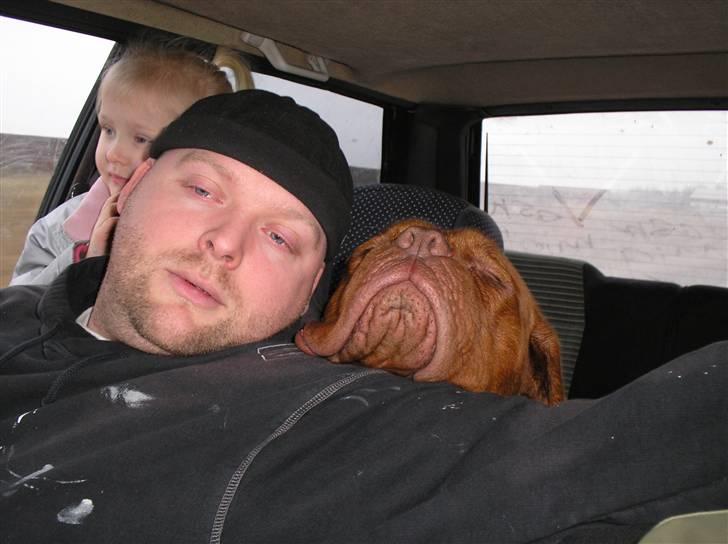 Dogue de bordeaux Pretty R.I.P. billede 4