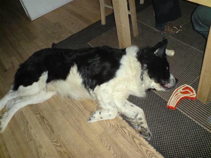 Blanding af racer Viktor (Ikke opdateret) billede 10