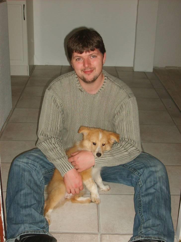 Shetland sheepdog Shelty * R.I.P * - Mig og min far. billede 7