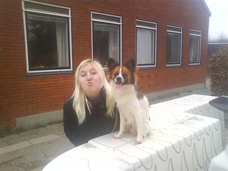 Blanding af racer Bambi - bambi og hansmor:D billede 12