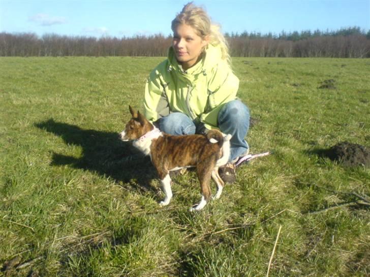 Basenji CarmenLita (fuji) billede 13