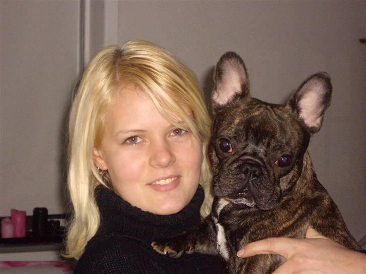 Fransk bulldog Debi *død* billede 18