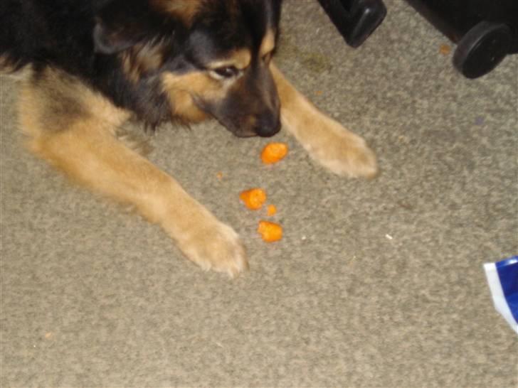 Blanding af racer rolf - mmm mad hehe billede 13