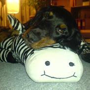 Blanding af racer •Blackey•.<3