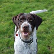 Blanding af racer Tilde