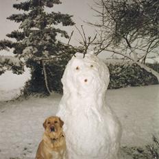 Blanding af racer King