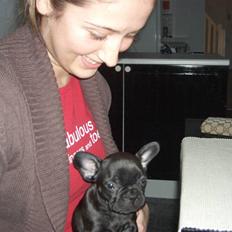 Fransk bulldog Tarzan