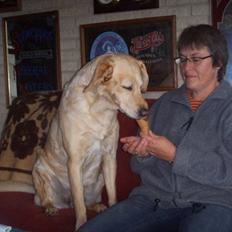 Blanding af racer Stella *RIP 25-11-10*