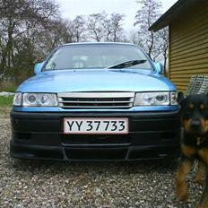 Blanding af racer bamse