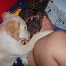 Blanding af racer Sasha