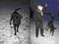 Labrador retriever Benjos black Chivas - Chivas og mor i sneen :D