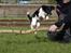 Blanding af racer Mathilde - Og spring...