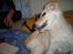 Blanding af racer Sasha - ...