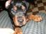 Blanding af racer Fraya R.I.P 26/4-2011 - hej med dig.. :-)