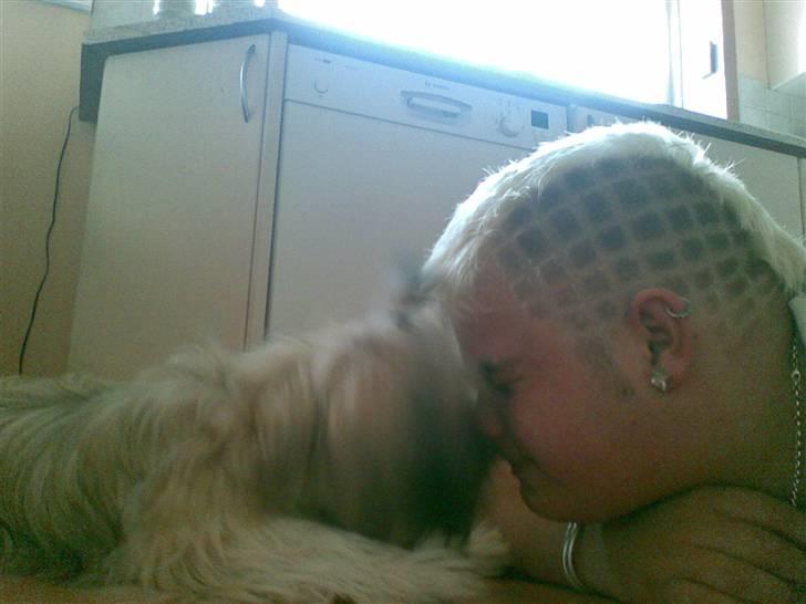 Blanding af racer Smilla <3 - smilla og min storebror billede 1