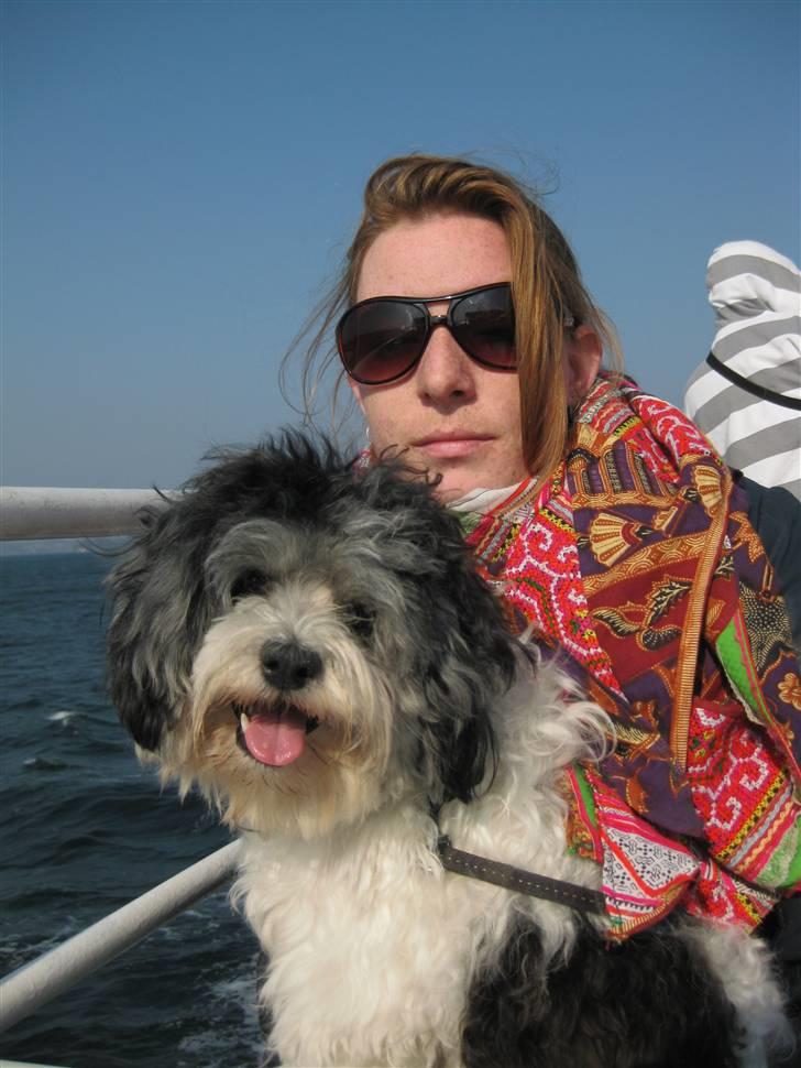 Løwchen Louie - Byttet bringes hjem billede 4