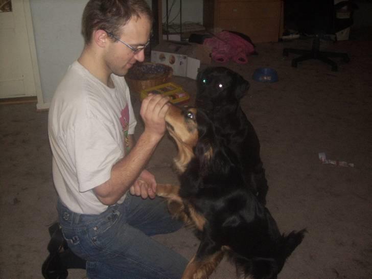 Blanding af racer marley - giiiii mig den kiks... billede 13